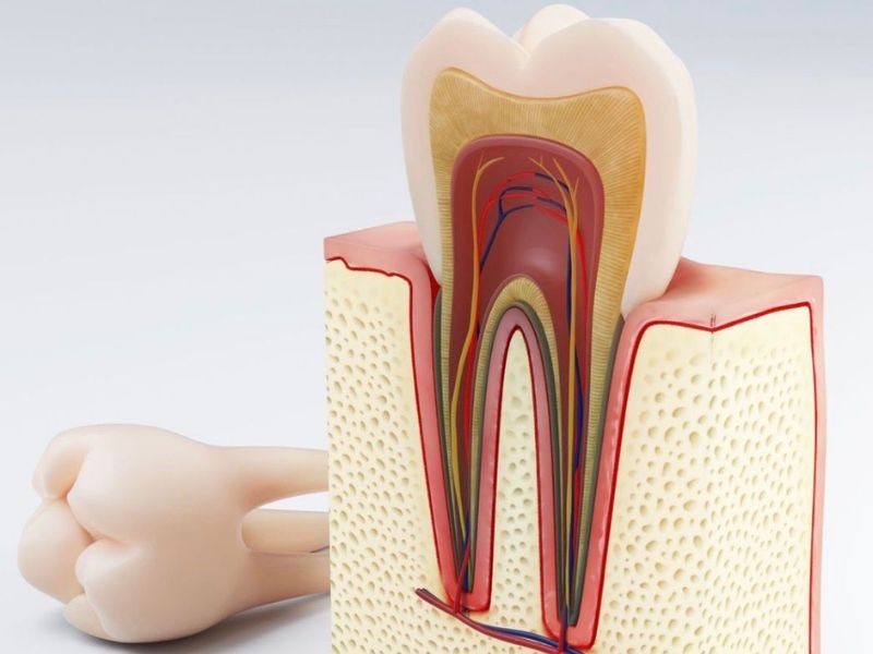 Tratamento de canal dói Descubra a verdade e quando o procedimento é necessário